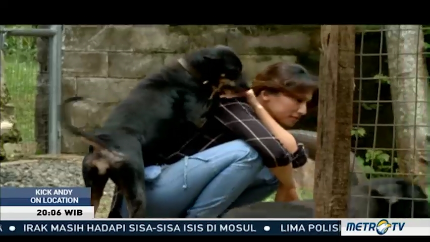 Cinta Tanpa Batas (1)