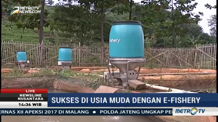 Tebar Pakan Ikan dengan Aplikasi E-Fishery