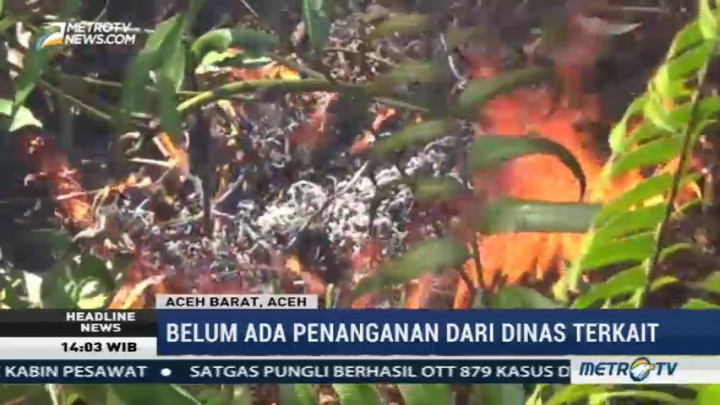 Kebakaran Lahan Gambut di Aceh Barat Terus Meluas