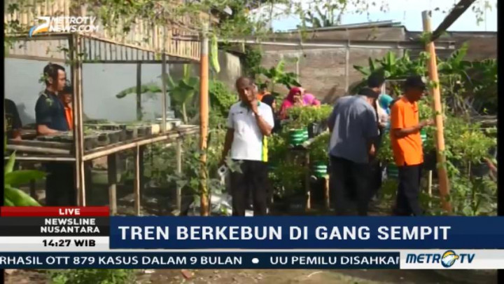 Lorong Garden, Tren Berkebun di Gang Sempit