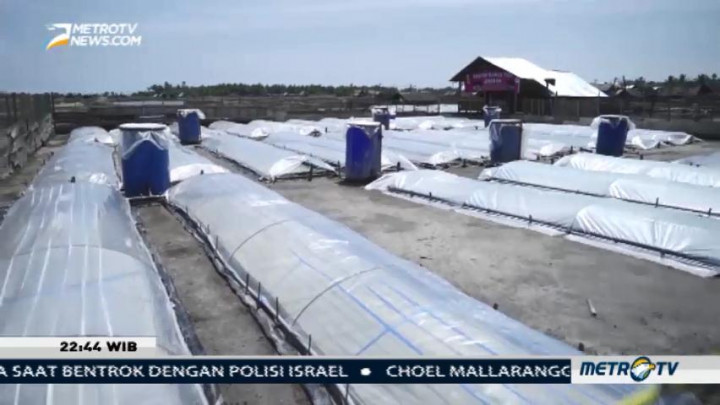 Senyap di Ladang Garam (2)