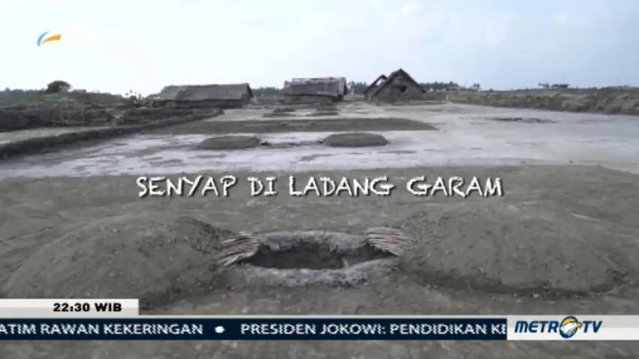 Senyap di Ladang Garam (1)