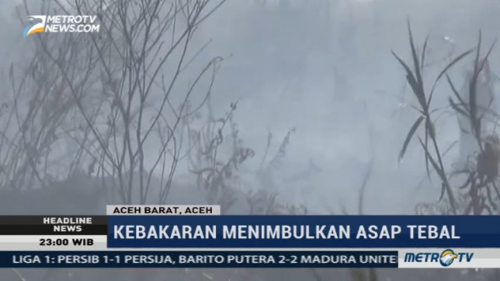Kebakaran Lahan Gambut Terjadi di Empat Kecamatan di Aceh Barat