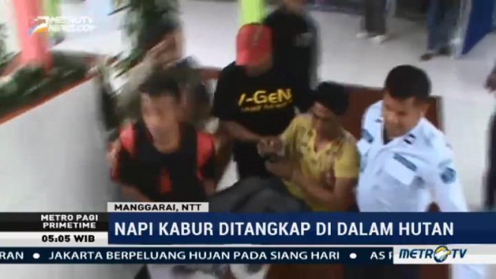 Satu Tahanan Kabur dari Rutan Ruteng Ditangkap di Hutan