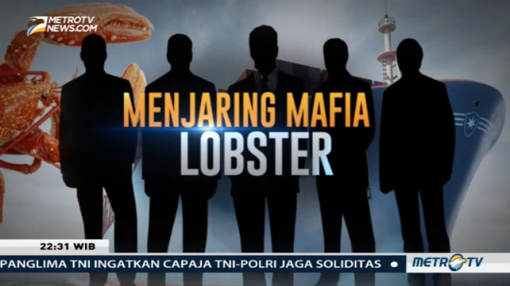 Menjaring Mafia Lobster (1)