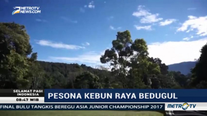 Pesona Kebun Raya Bedugul