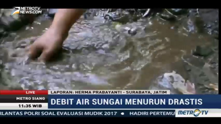 Tujuh Ribu Warga di Wilayah Tapal Kuda Alami Kekeringan