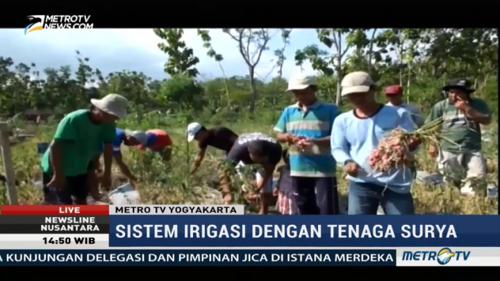 Panen Maksimal dengan Sistem Irigasi Tenaga Surya