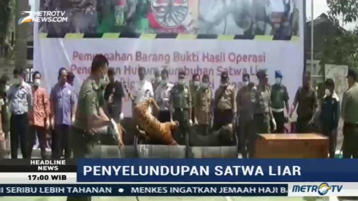 BKSDA Jambi Musnahkan Barang Bukti Perburuan Satwa Liar