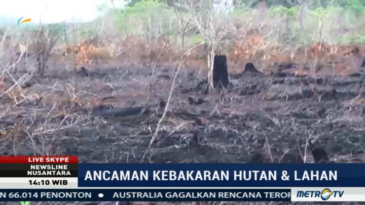 Gubernur Aceh Minta Polisi Usut Pelaku Pembakaran Lahan