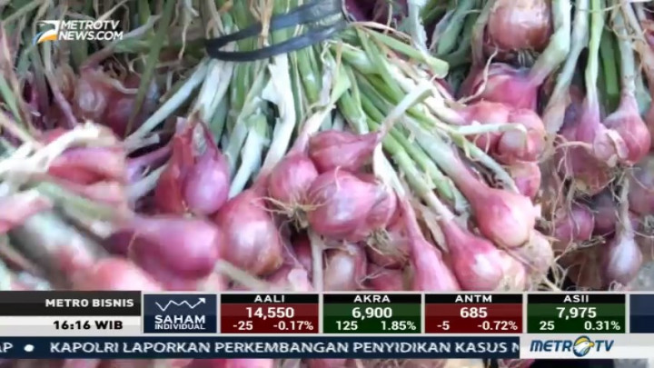 Hasil Panen Bawang Merah di Gunung Kidul Meningkat