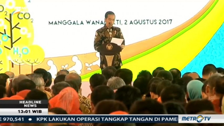Jokowi Kecam Pihak yang Menyalahgunakan Izin Pengelolaan Hutan