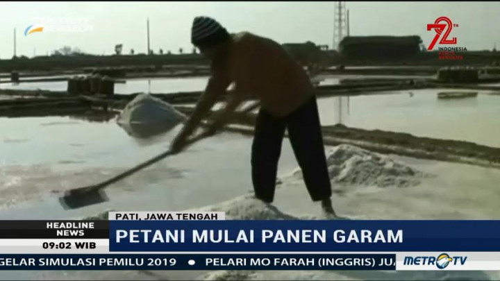 Petani di Pati Tolak Rencana Impor Garam