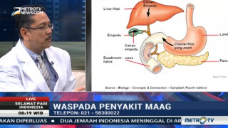 Penyebab Nyeri Perut Bawah Pada Wanita