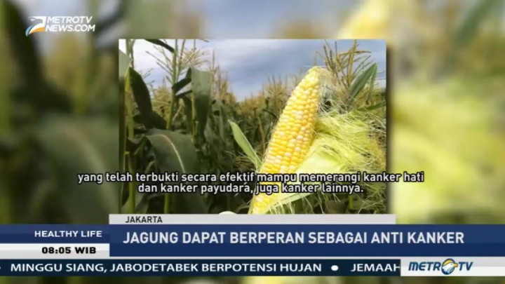 Mengenal Nutrisi dalam Jagung