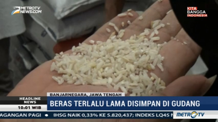 Beras Sejahtera di Banjarnegara Berkutu & Kusam