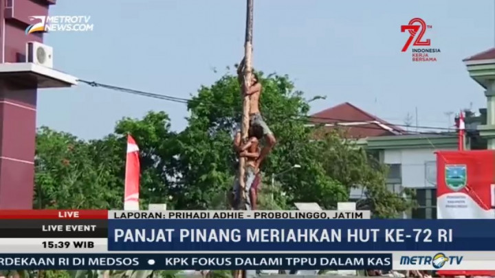 Lomba Panjat Pinang Meriahkan Peringatan HUT RI di Probolinggo