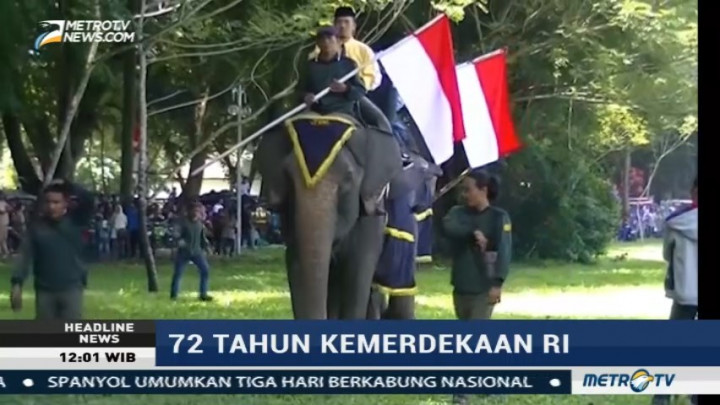 Dua Ekor Gajah di Langkat Ikut Rayakan HUT RI