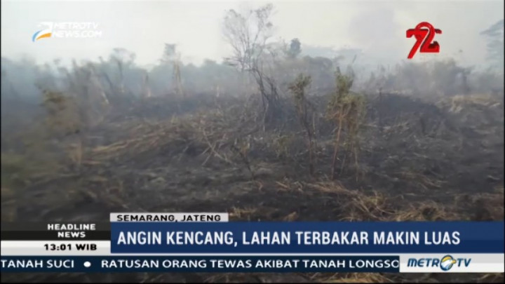 Gara-gara Puntung Rokok, 2 Hektare Lahan di Semarang Terbakar