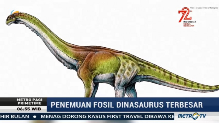 Fosil Dinosaurus Terbesar Ditemukan di Argentina