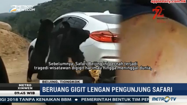 Beruang Gigit Tangan Pengunjung Taman Safari Tiongkok