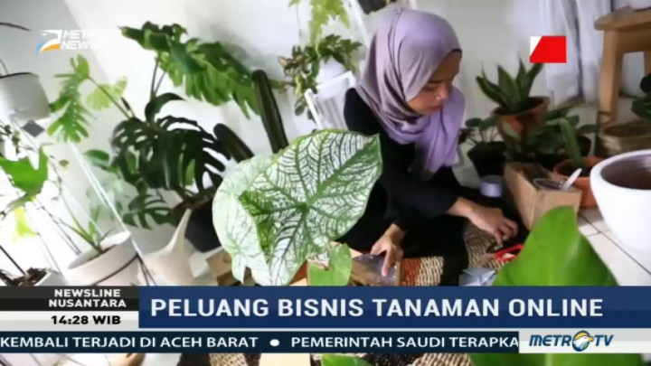 Peluang Bisnis Tanaman Online