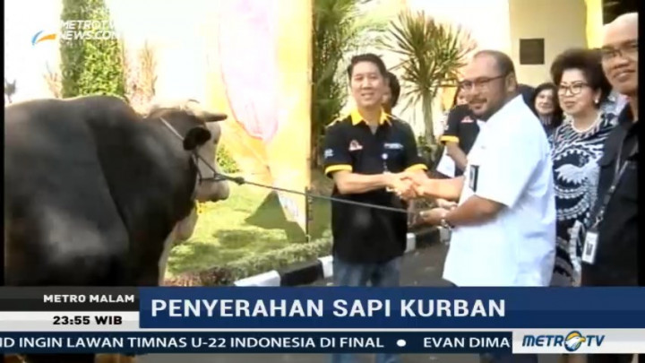 PT Bintang Toedjoe Serahkan Sapi Kurban Seberat 1 Ton ke Metro TV