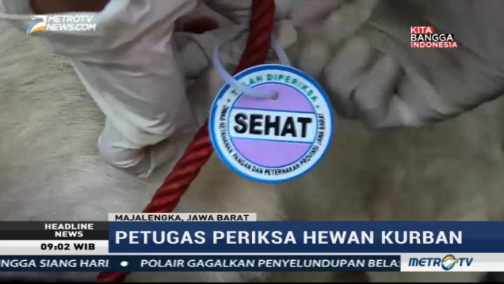 Jelang Iduladha, Dinas Peternakan Majalengka Periksa Hewan Kurban