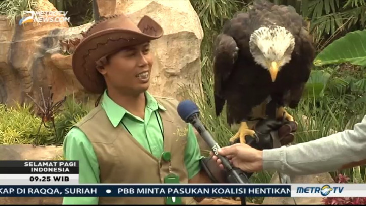 Wisata Edukasi Keluarga di Eco Green Park Batu (2)