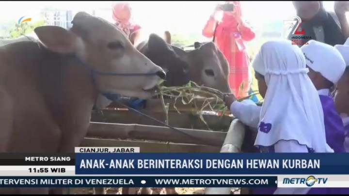 Wisata Edukasi Hewan Kurban