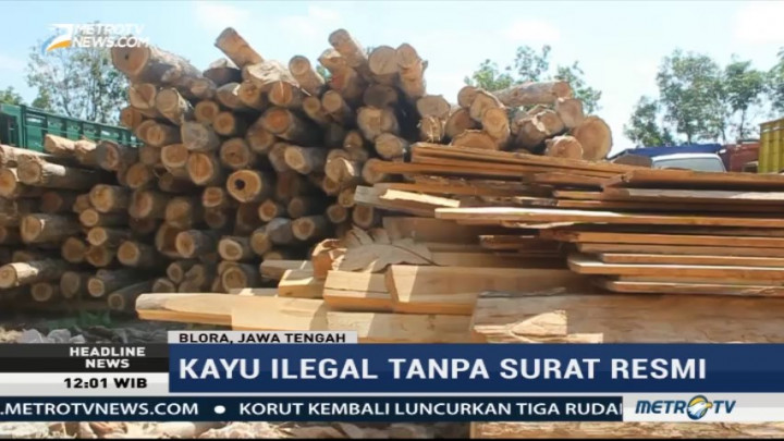Polres Blora Amankan Ratusan Kayu Ilegal