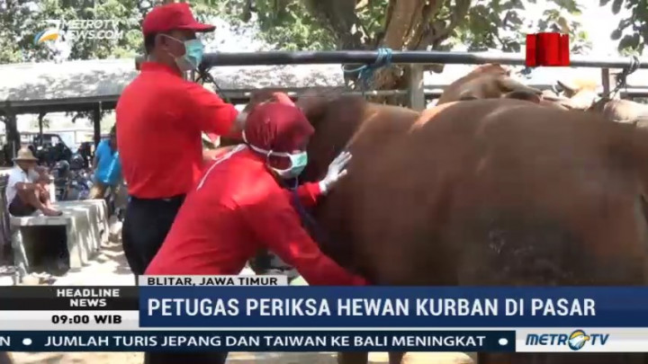 Petugas Dinas Peternakan Blitar Periksa Hewan Kurban di Pasar