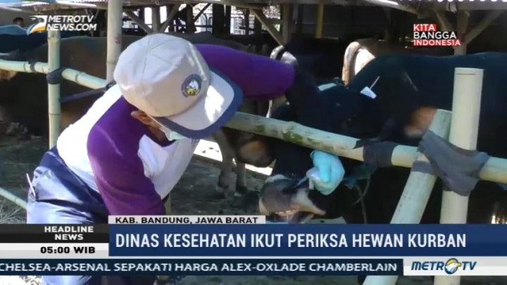 Jelang Iduladha, Dinas Peternakan Kabupaten Bandung Periksa Hewan Kurban