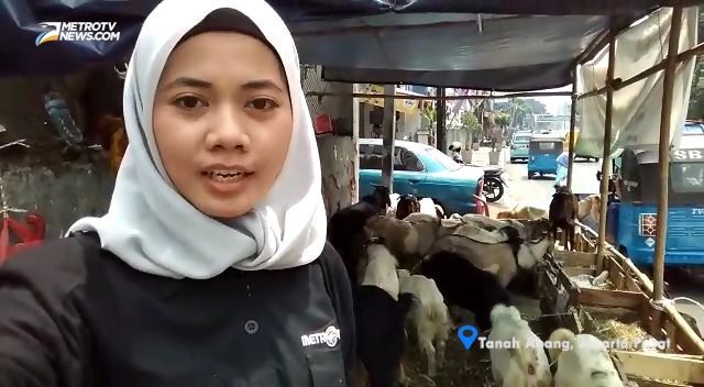 Penjual Hewan Kurban Abaikan Bulan Tertib Trotoar