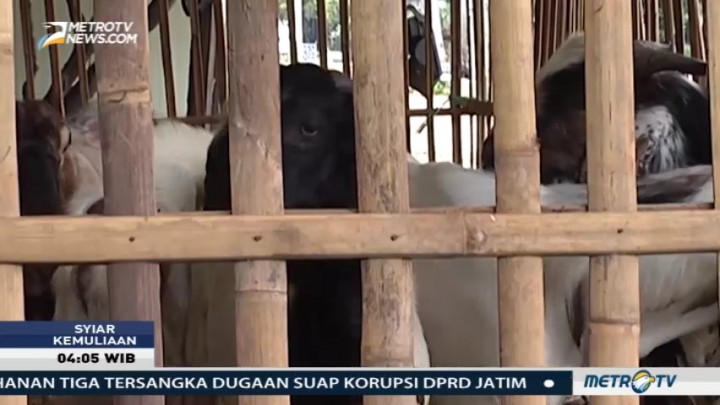 Syiar Kemuliaan: Keutamaan Berkurban (1)