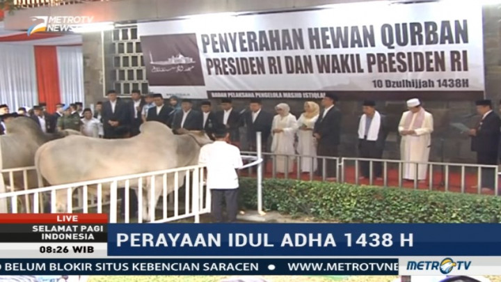 Jusuf Kalla Serahkan Sapi Kurban ke Masjid Istiqlal