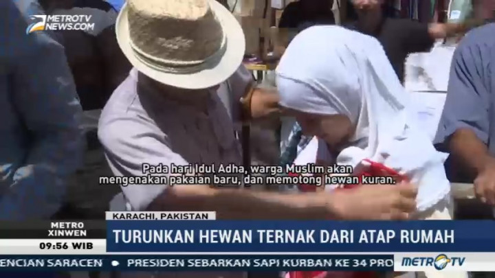 Pakaian Baru dan Hewan Kurban Jadi Tradisi Warga Irak Sambut Iduladha