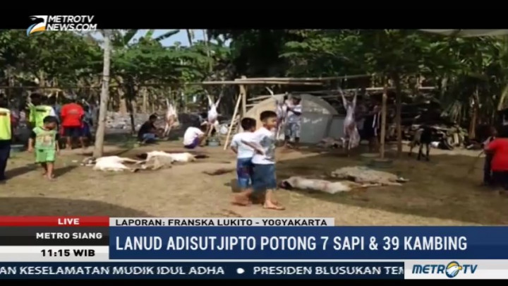 Lanud Adisutjipto Sembelih 7 Ekor Sapi dan 39 Ekor Kambing