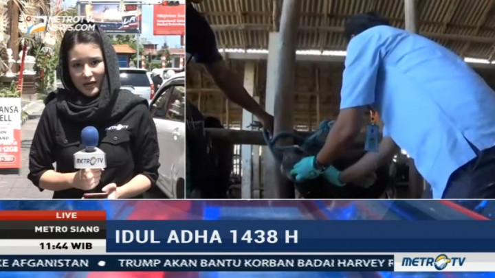 Pelaksanaan Kurban di Bali Jadi Contoh Toleransi Antar Umat Beragama