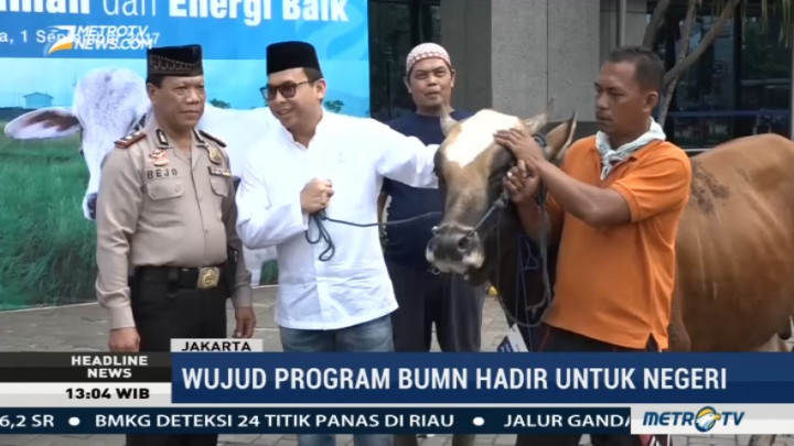 PGN Bagikan 605 Ekor Hewan Kurban