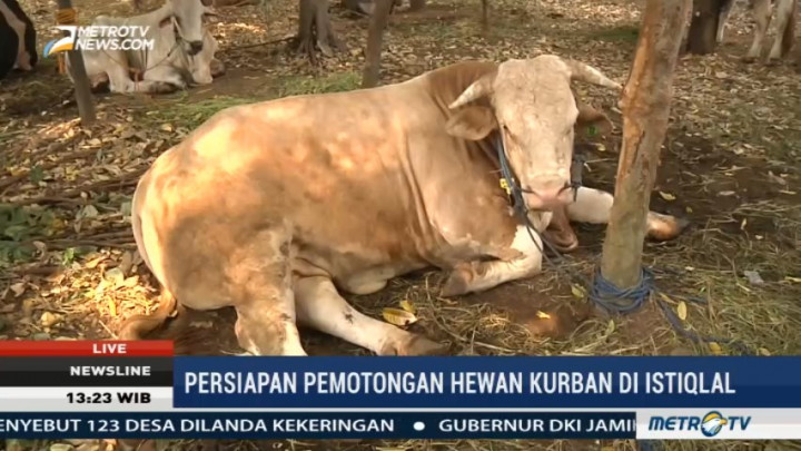 Penyembelihan Hewan Kurban di Istiqlal Dilakukan Sore Ini