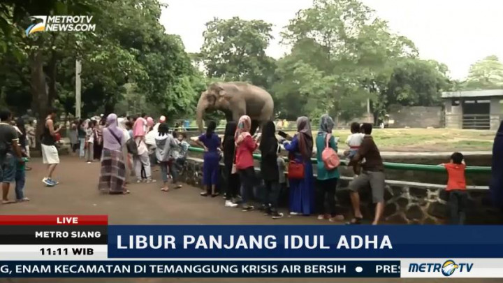 Libur Panjang, Ribuan Pengunjung Padati Kebun Binatang Ragunan