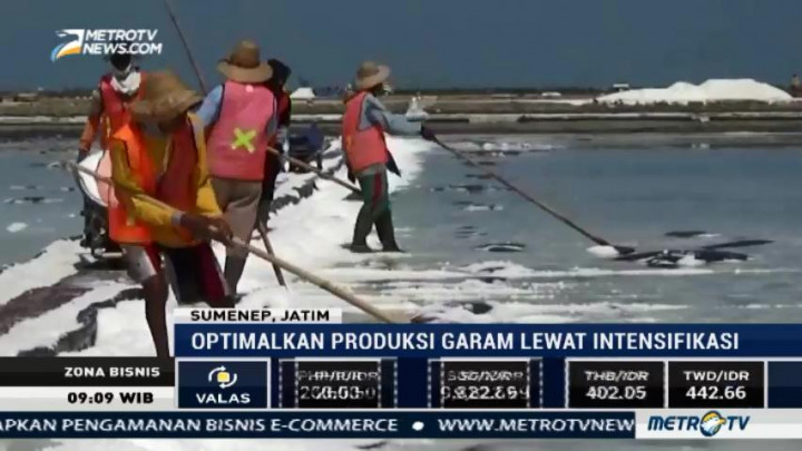 Mengejar Target Swasembada Garam