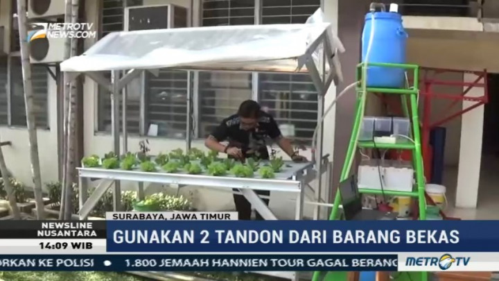 Mahasiswa Ciptakan Alat Pengendali Nutrisi Tanaman Hidroponik