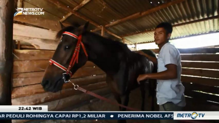 Laju Telapak di Tanah Gayo (2)