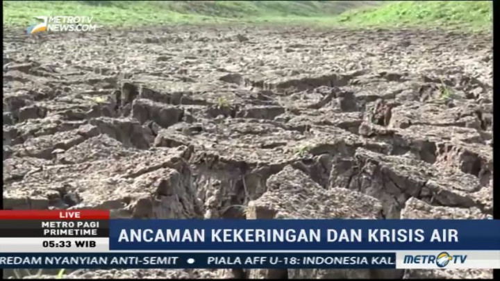 Sejumlah Waduk di Lamongan Mengering Sejak Dua Bulan Lalu