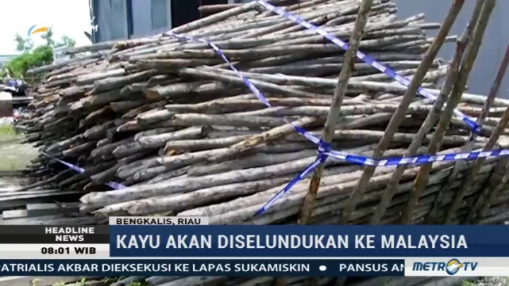 Bea Cukai Gagalkan Penyelundupan Kayu Bakau ke Malaysia