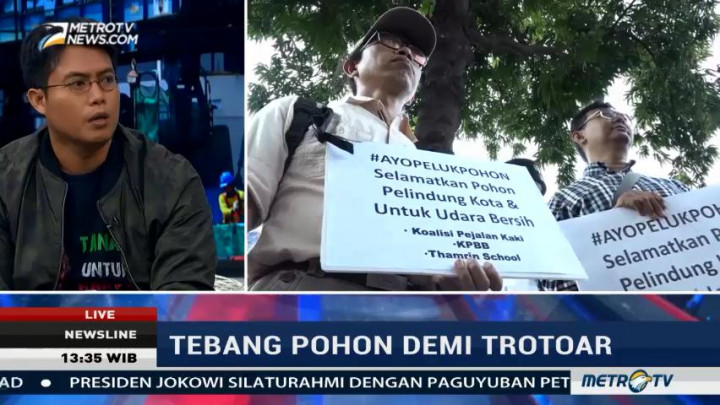 Tebang Pohon Demi Trotoar (1)