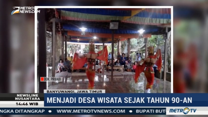 Pesona Wisata Desa Adat Suku Osing