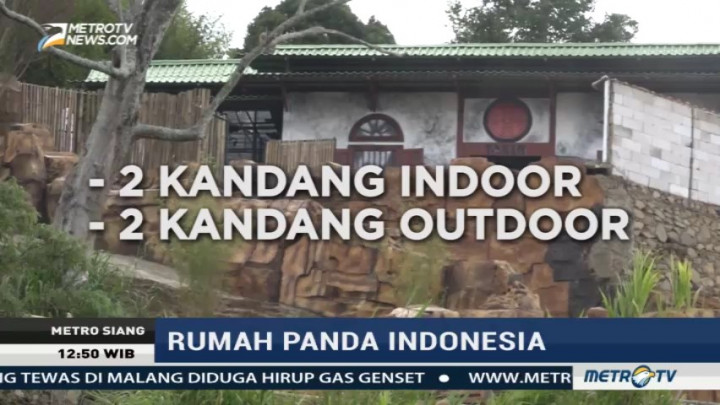 Melihat Uniknya Rumah Panda di Taman Safari Bogor